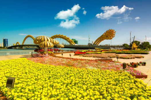 Miracle Garden Dubai