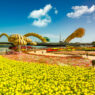 Miracle Garden Dubai