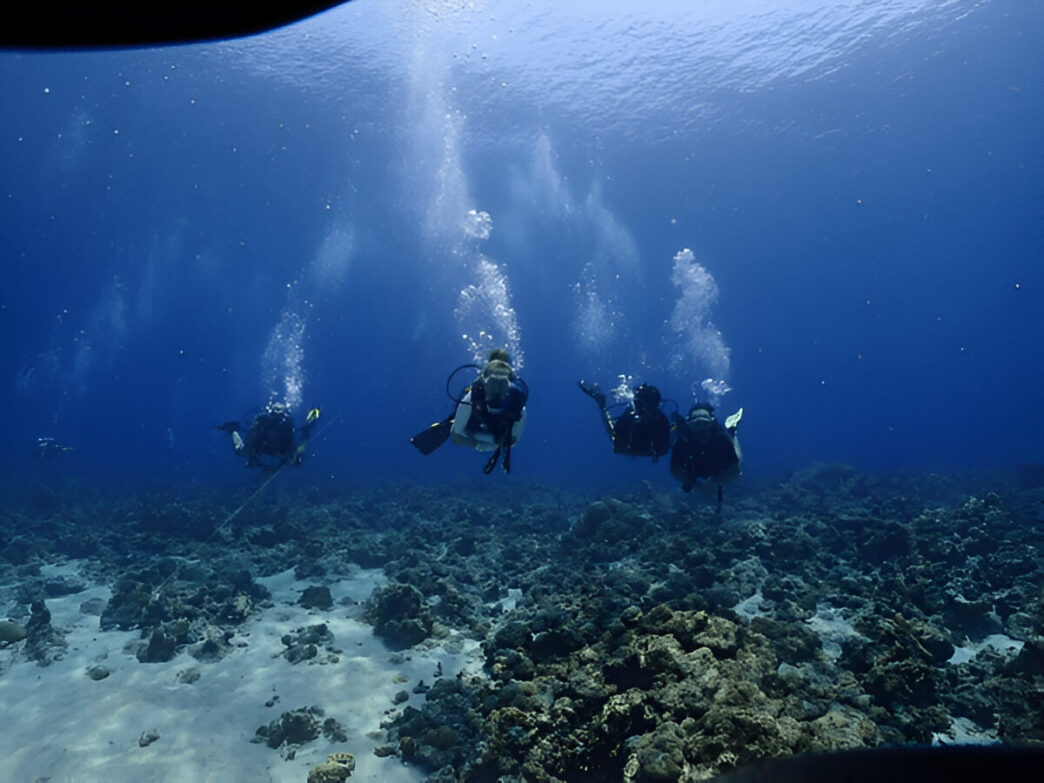 Scuba Dive in India