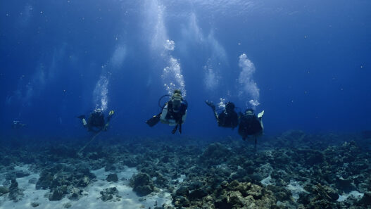 Scuba Dive in India