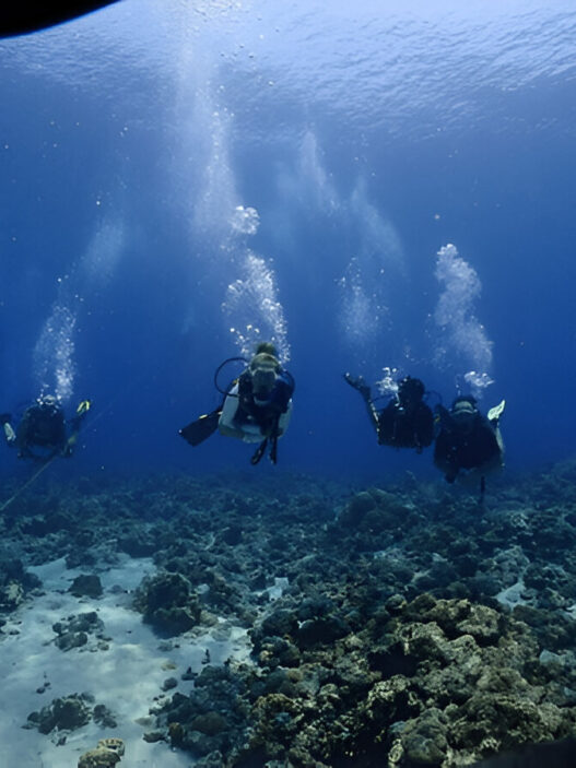 Scuba Dive in India