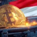 Indonesia Bitcoin National Reserve
